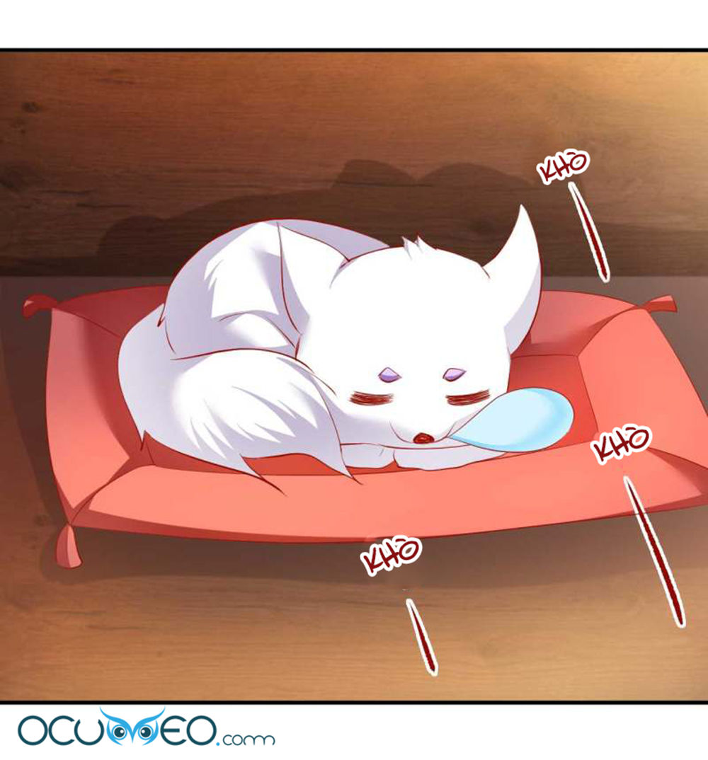 từ đây vương gia không thượng triều sớm chapter 67 6