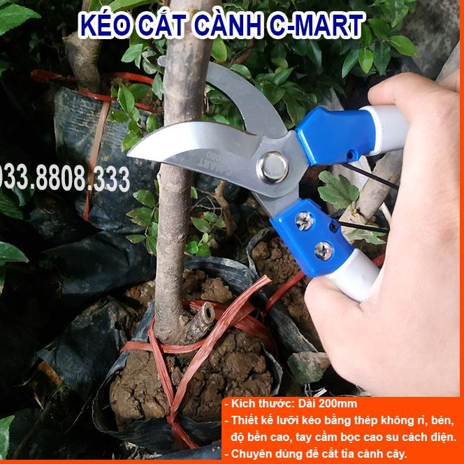 KÉO CẮT CÀNH CÁN XANH C-MART- KÉO SẮC BỀN
