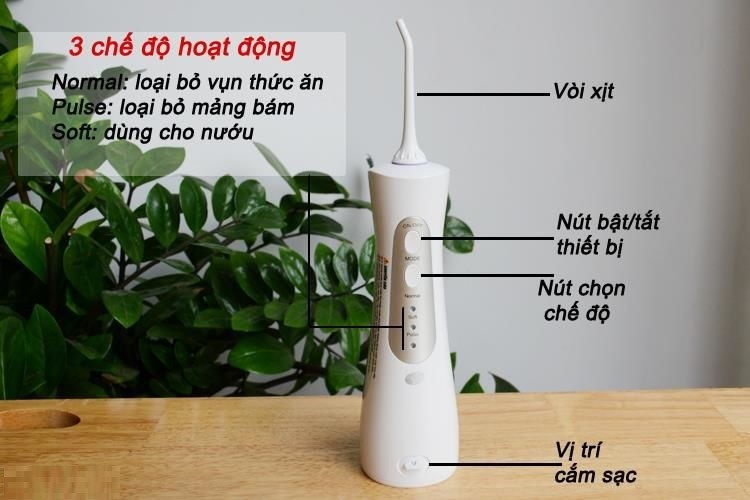 Máy Tăm Nước Cầm Tay Rio DCIR (DCIR2) - Hàng Chính Hãng 4