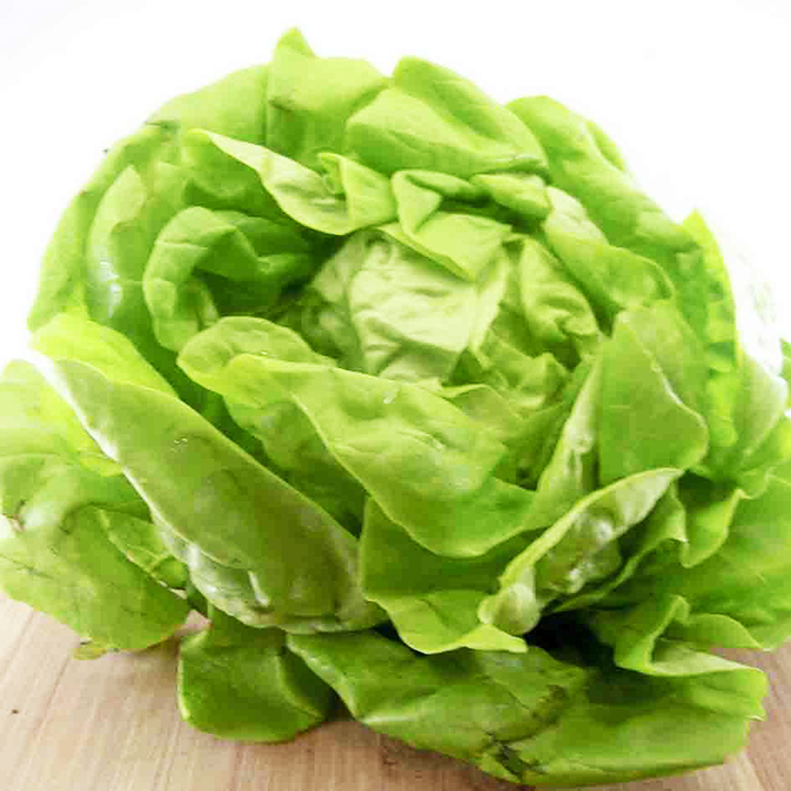 Hạt giống Phú Nông xà lách búp thảo nguyên No.10 (2g/gói) | Lettuce Butterhead