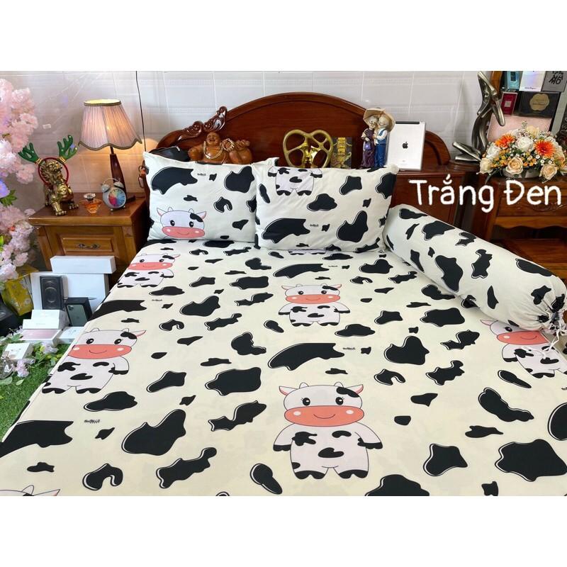 Drap thun hàn quốc