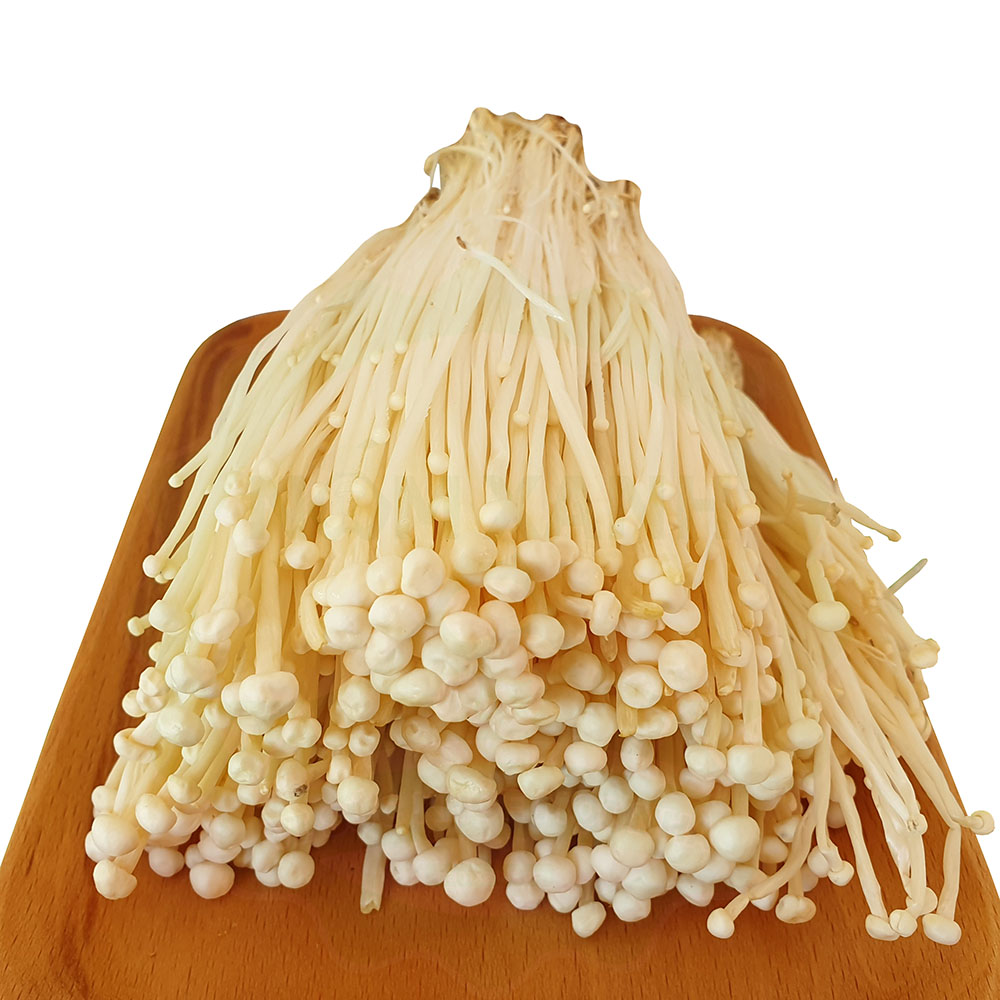 Nấm Kim Châm Tươi 1kg Ngon Sạch - Nông Trại Nấm Xanh