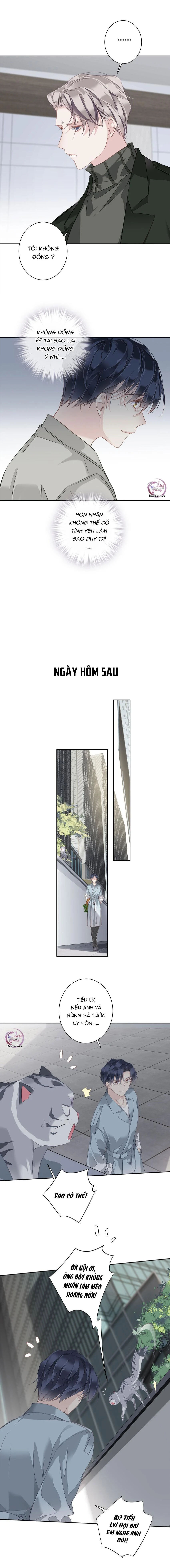cuộc mai mối vượt giống loài chapter 53 3
