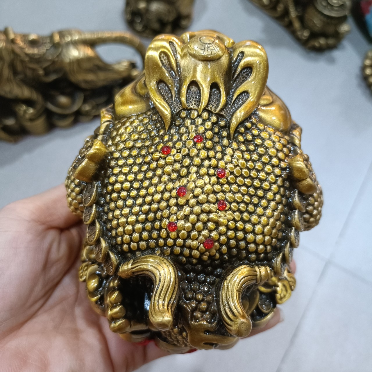 Cóc thiềm thừ, cóc đồng vàng, cóc cỡ nhỏ, cóc phong thủy