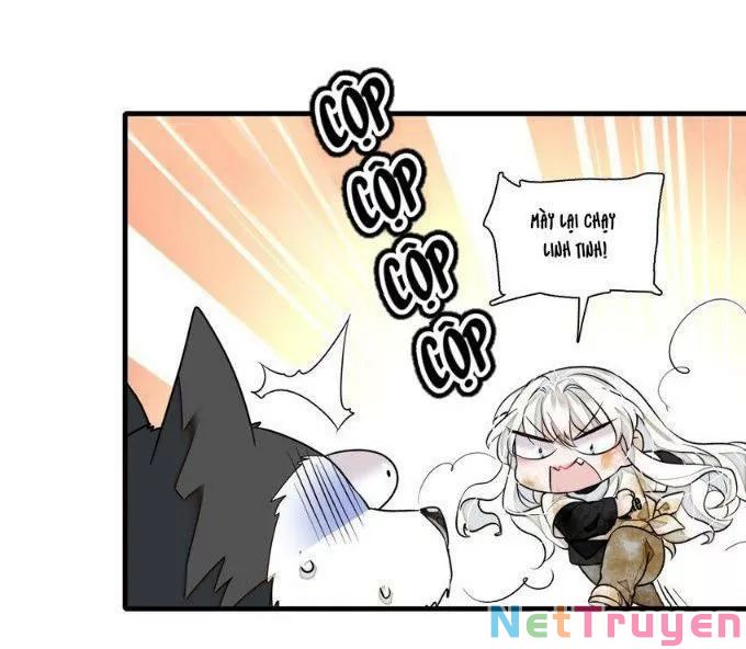 long phượng phiên chuyển chapter 64 9