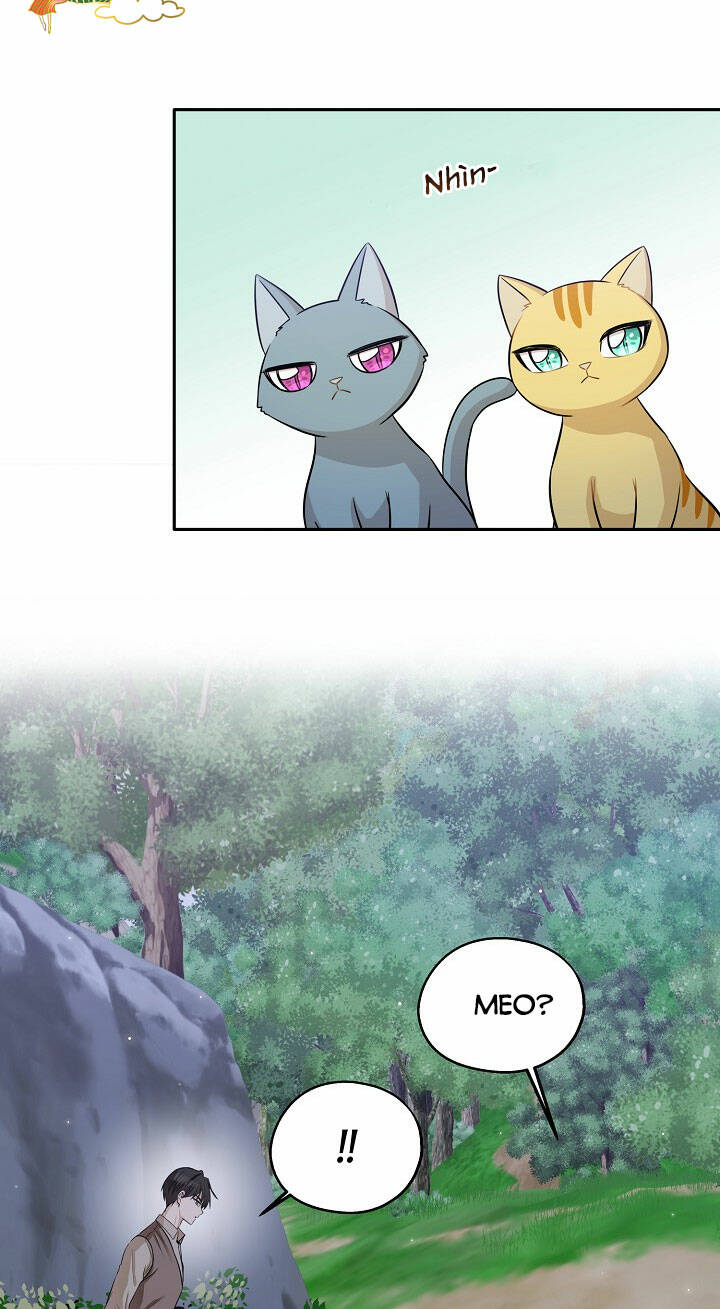 cuộc sống kỳ thú chapter 97 28