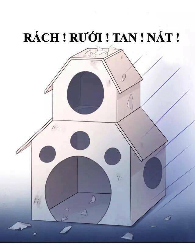 dưới móng vuốt mèo chapter 13 26