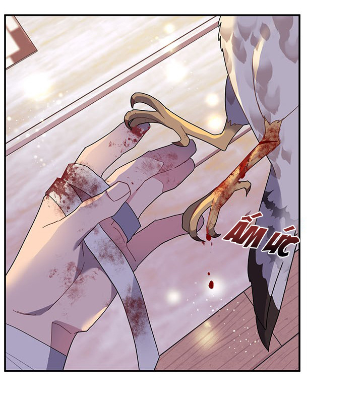 công chúa của loài chim chapter 16 68
