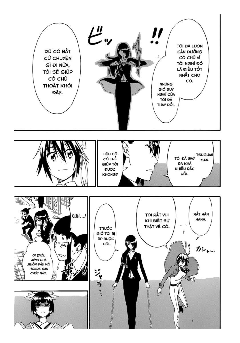 nisekoi - tình yêu giả tạo chapter 193 8