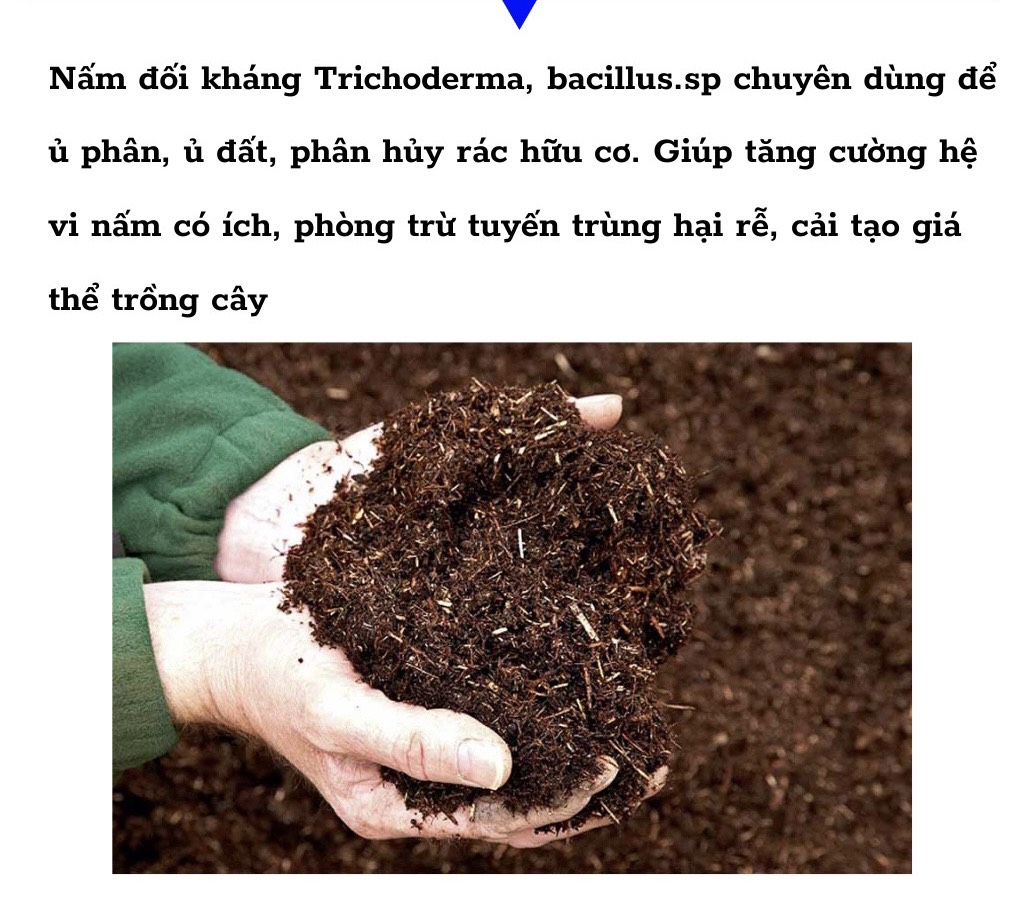 Men ủ sinh học Trichoderma 20 tỷ bào tử nấm Hộp 1 kg phân giải hữu cơ, bổ sung vi sinh vật, cải tạo đất, Chuyên Dùng Ủ Phân Hữu cơ, Ủ rác thải nhà bếp