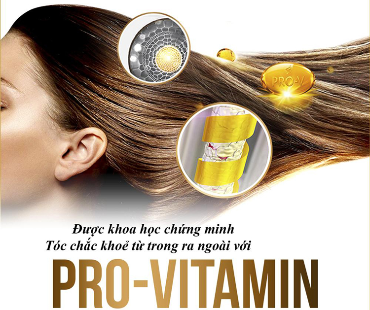 Dầu Xả Pantene Nhật Bản Chăm Sóc Hư Tổn Chuyên Sâu