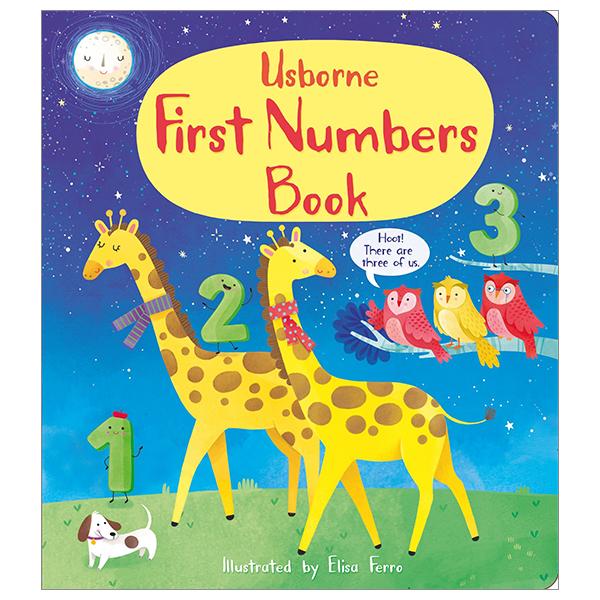 First Numbers Book