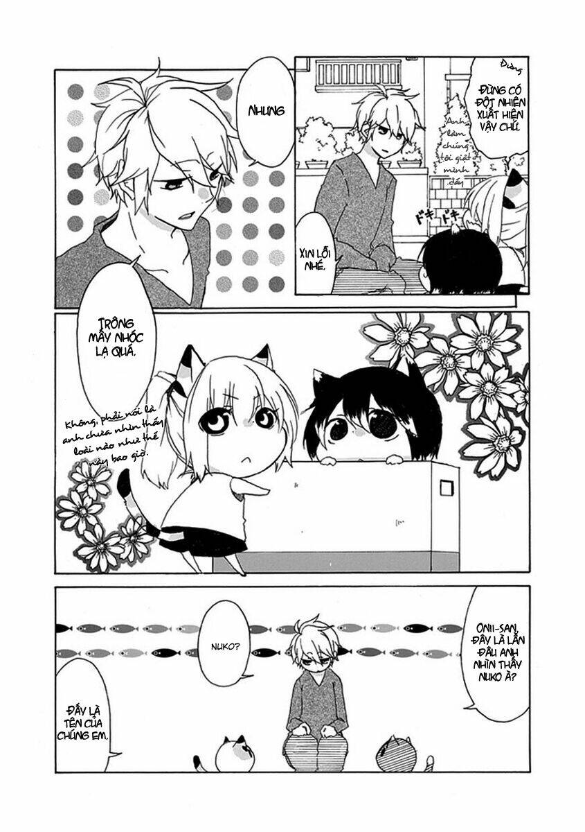 nukoduke! chapter 1 5