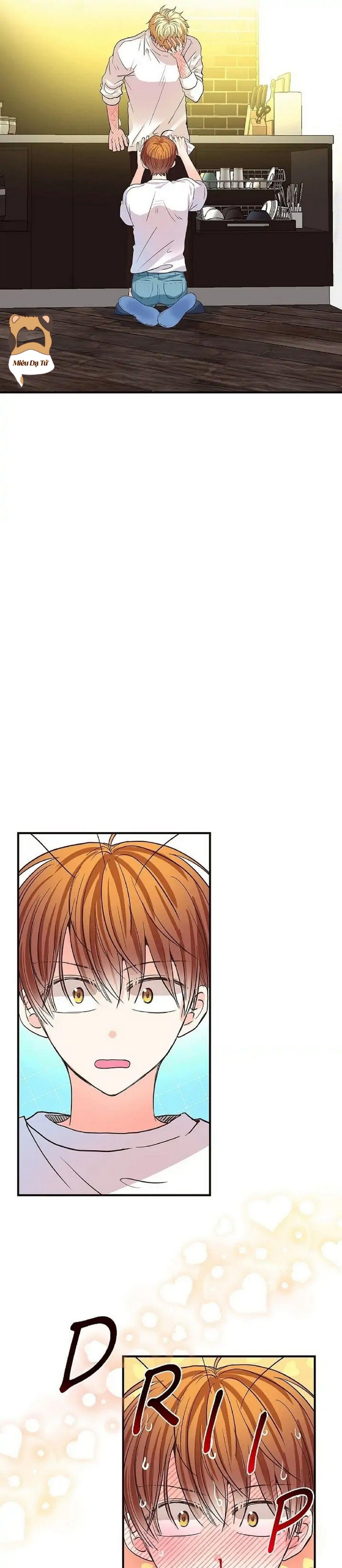 mối quan hệ phù hợp chapter 13 32