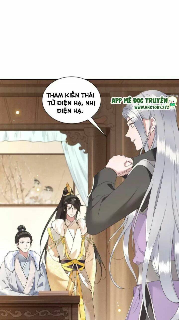 phượng hoàng vu phi chapter 77 31