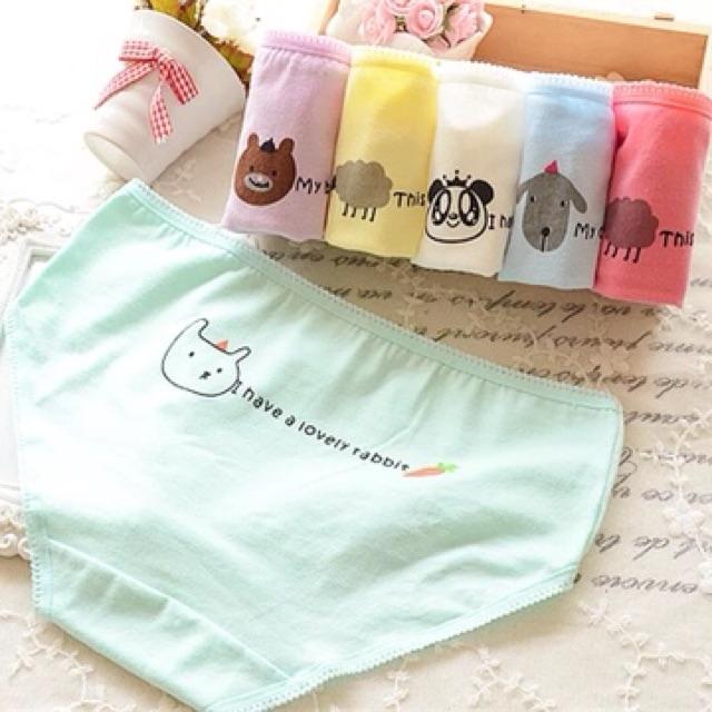 Quần Lót Nữ Cotton Hoa Hồng Thời Trang Xuất Hàn Hàng Loại Đẹp.
