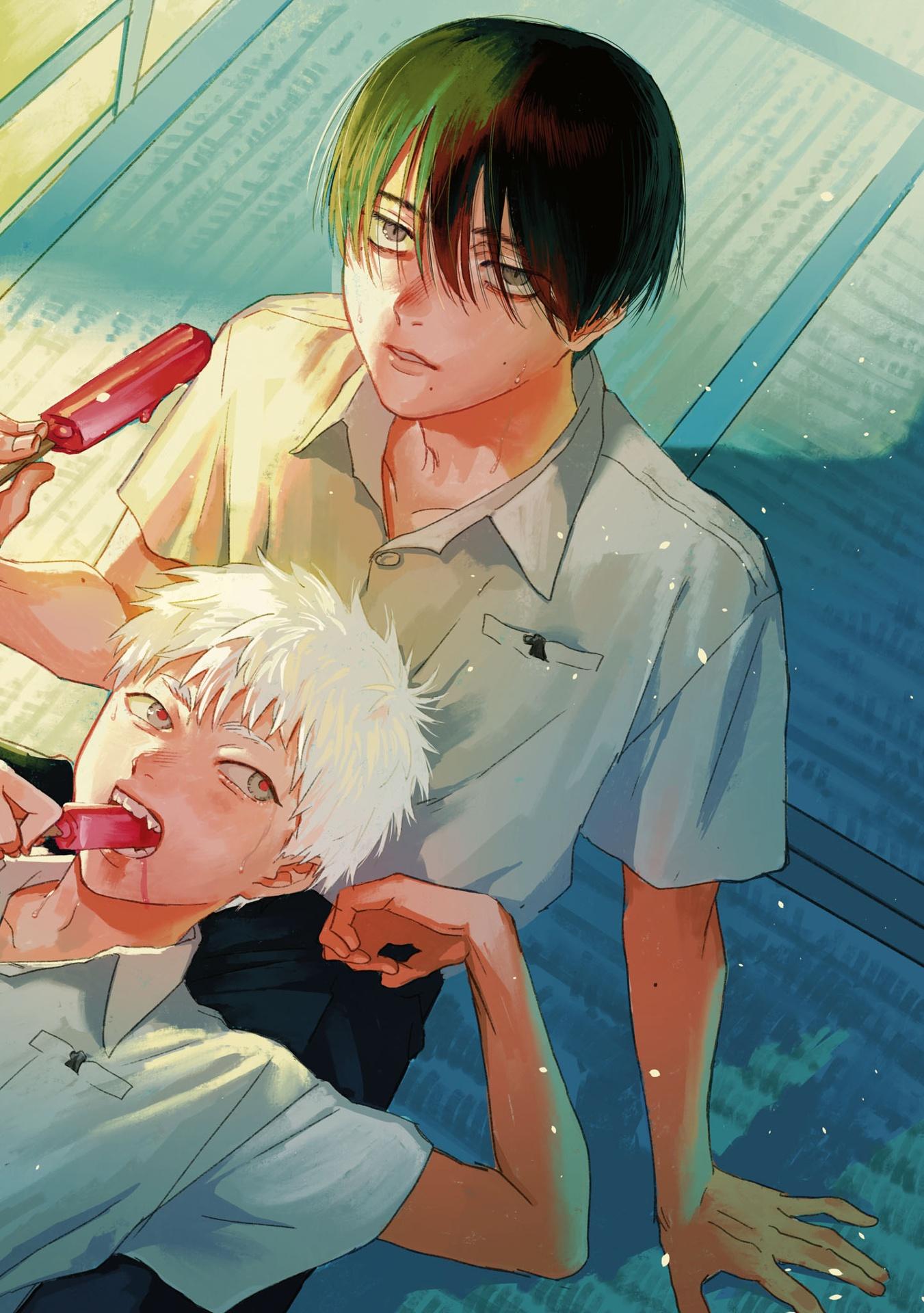 Hikaru Ga Shinda Natsu 2 (Japanese Edition)