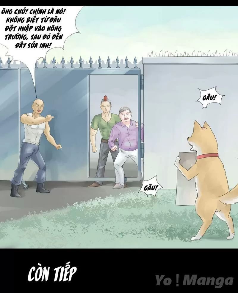 một con chó chapter 14 4