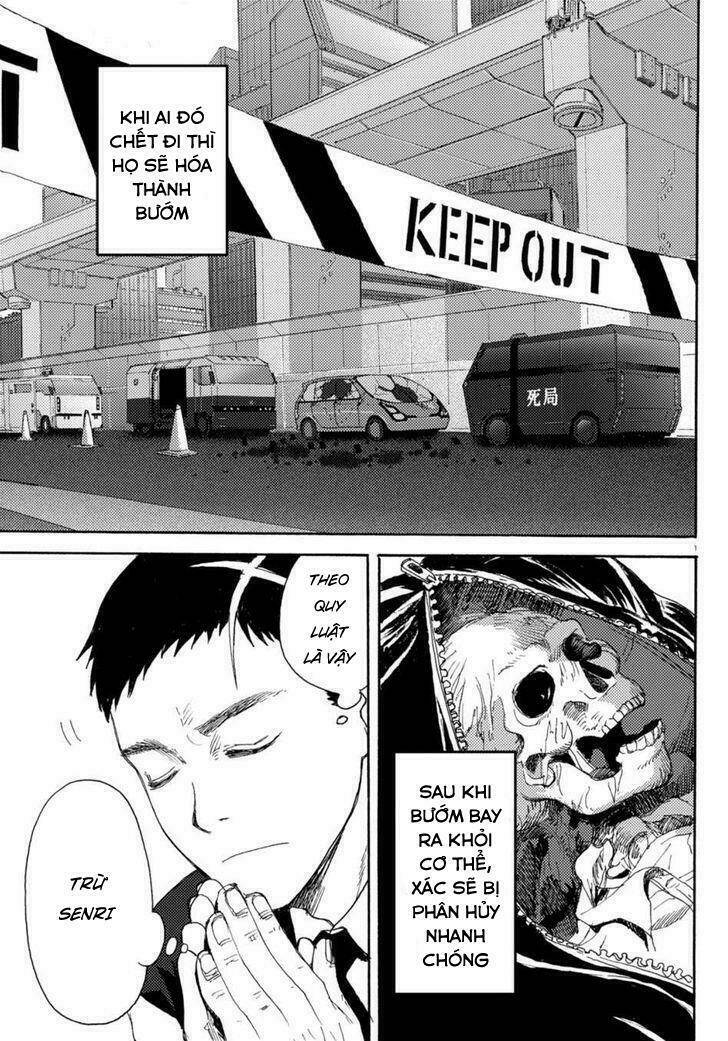 butterfly storage chapter 2 2