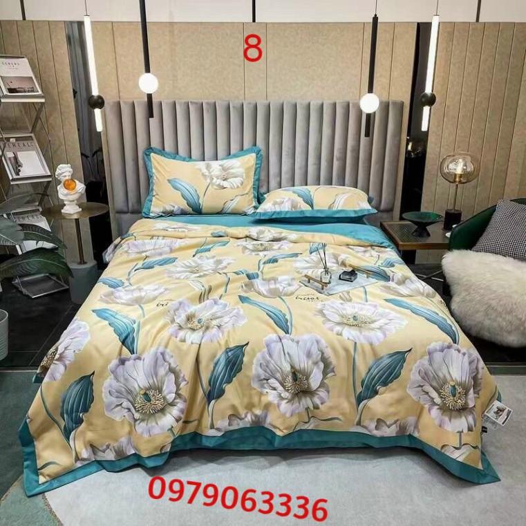 Chăn Hè Lông Vũ Nhập khẩu Mẫu Hot 2021 Chăn Lụa Nhập Khẩu Thái Lan