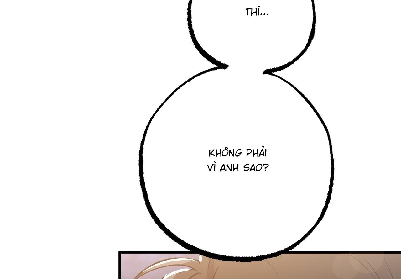 những chú thỏ của hapypy chapter 59 107