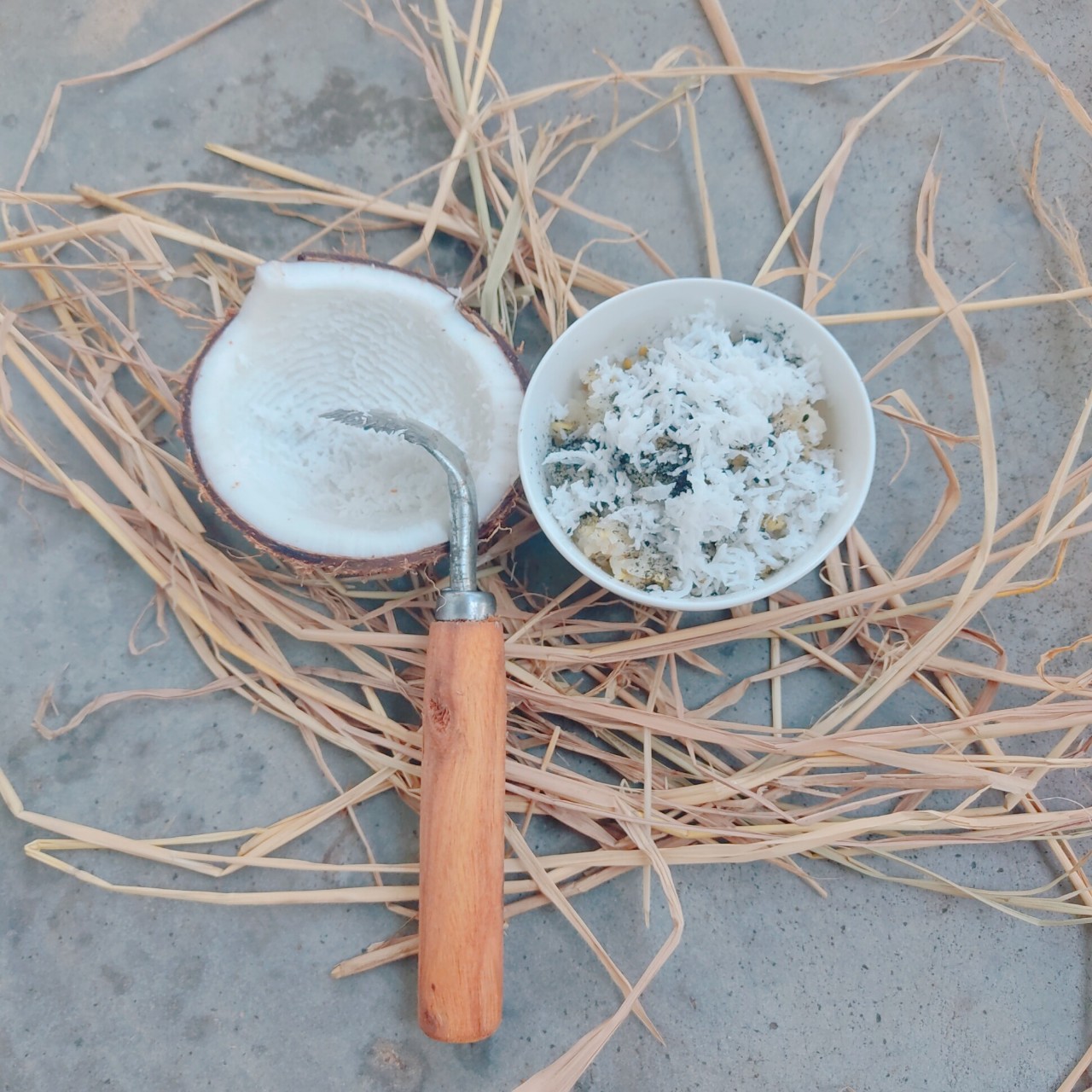 Dụng cụ nạo dừa thủ công, sò dừa thủ công tay cầm bằng gỗ, sò dừa quê - Hàng thủ công xứ Nẫu [Ảnh thật]