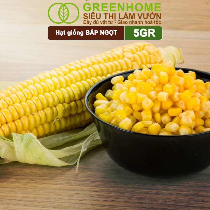 Hạt Giống Bắp Ngọt, Greenhome, Gói 5GR, Dễ Trồng Quanh Năm, Nảy Mầm Cao, T29