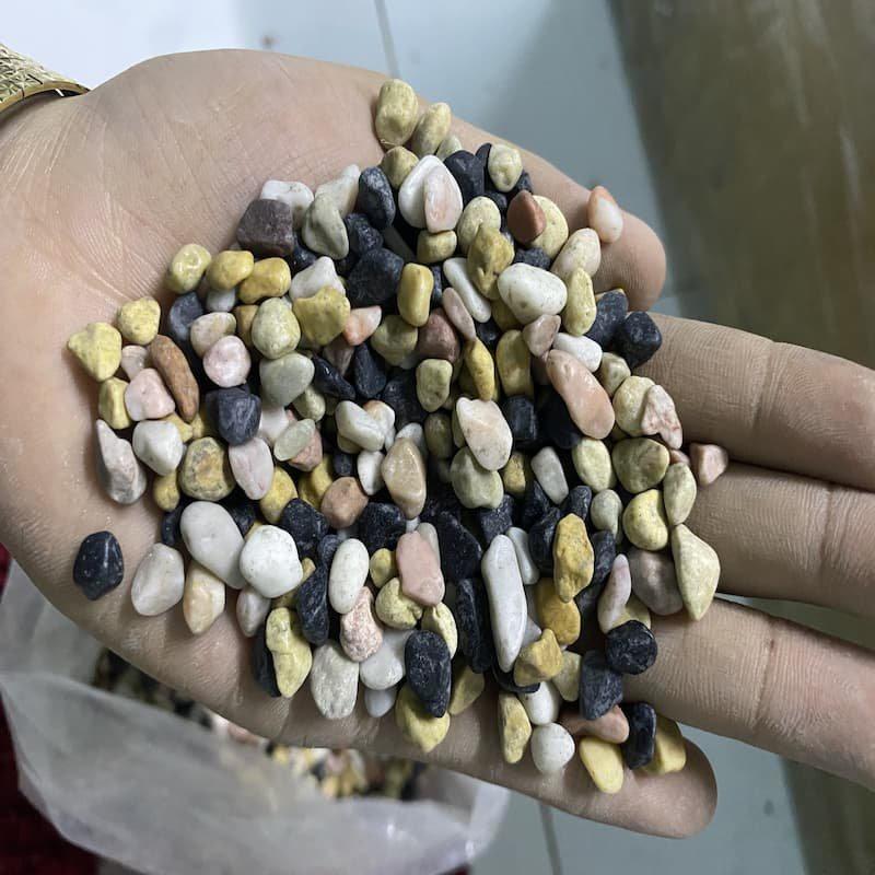 Sỏi 4 Màu Trang Trí Hồ Cá, Nhà Cửa, Chậu Cây, Hoa 1KG