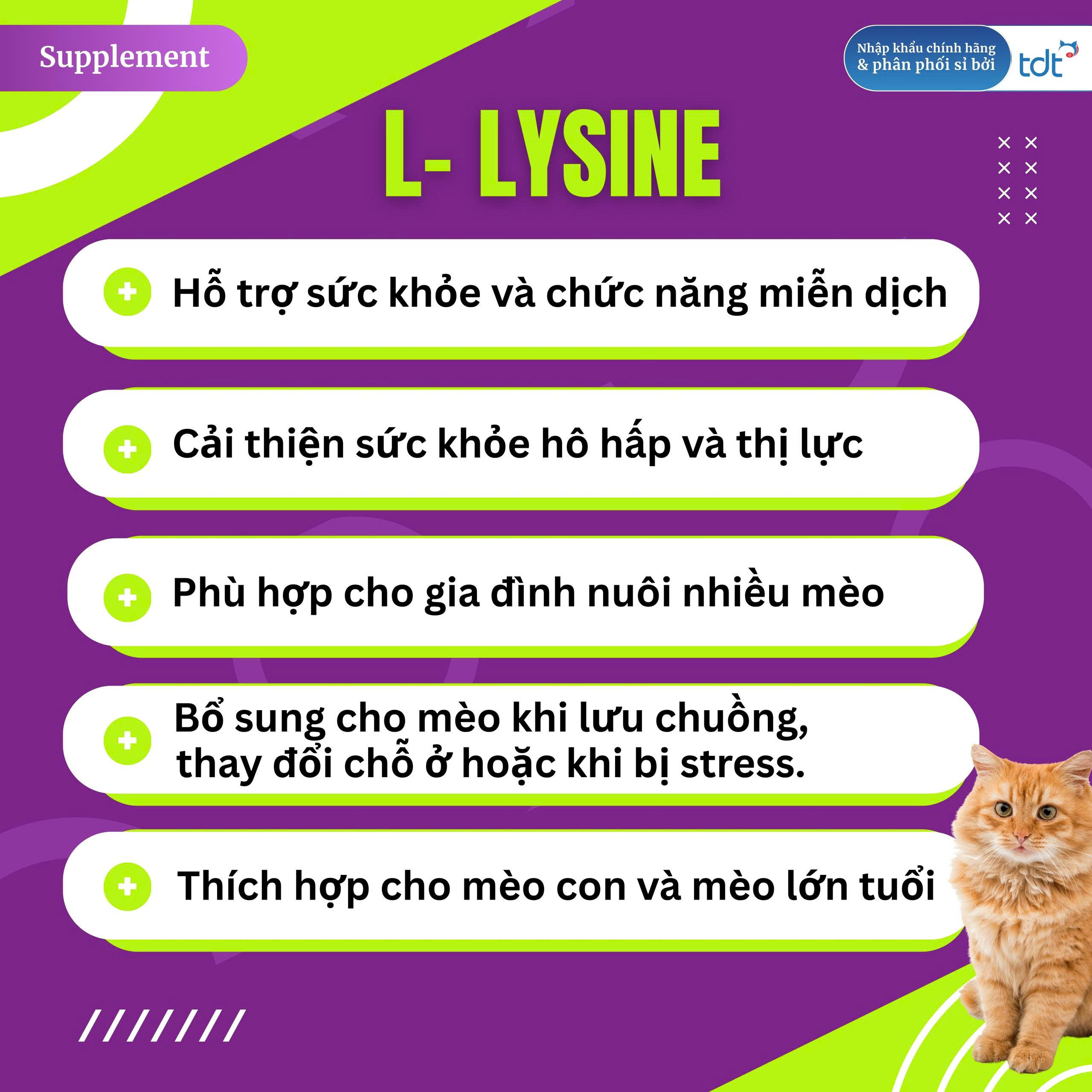 PET NATRALS VIÊN NHAI BỔ SUNG LYSINE CHO MÈO - L-LYSINE HỖ TRỢ SỨC KHỎE & CHỨC NĂNG MIỄN DỊCH túi 60 viên