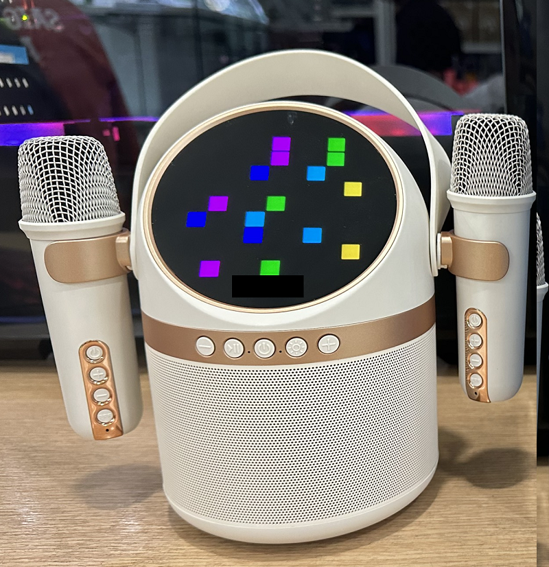 LOA KARAOKE TẶNG KÈM 2 MICRO TAS2508WT/93