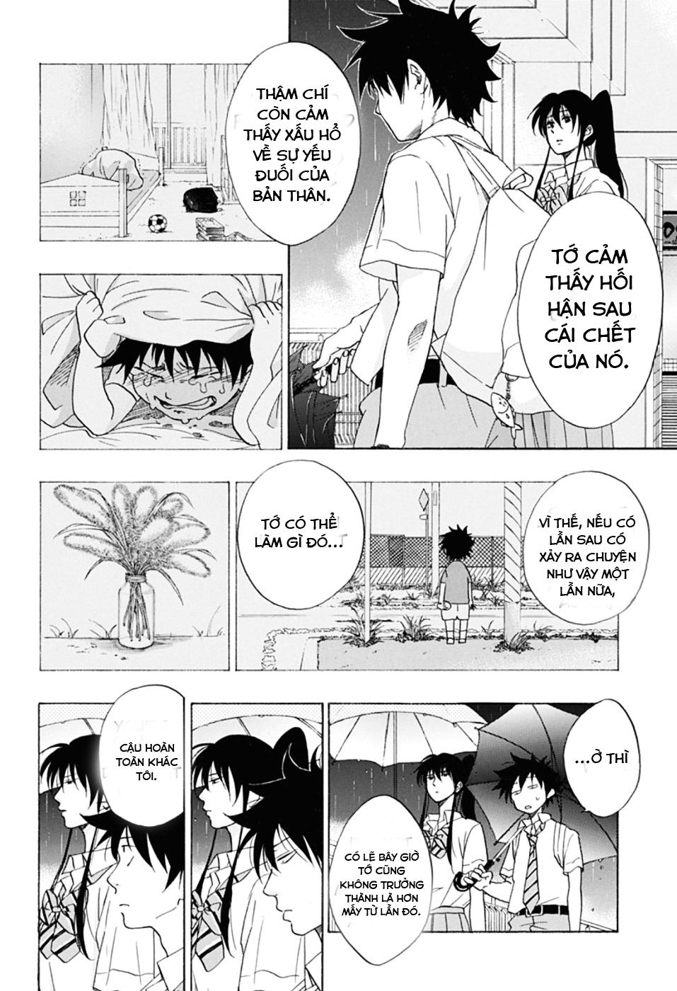 tình yêu thuần khiết của tuổi trẻ chapter 11 23