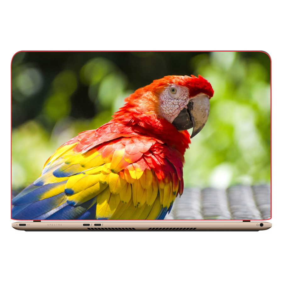 Miếng Dán Trang Trí Decal Laptop Trang Trí Animal Cartoon DCLTDV 103