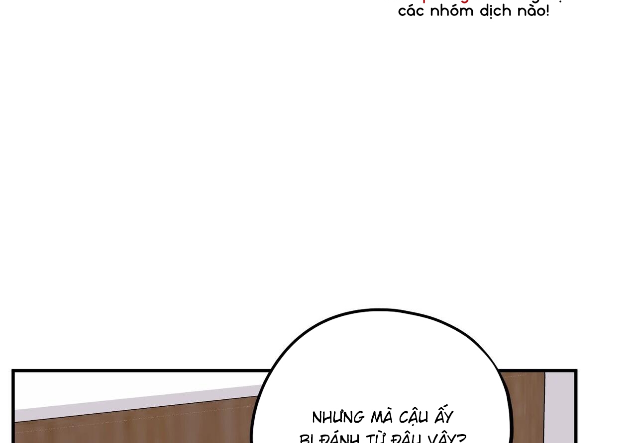 chàng dâu nhà họ kang chapter 32 4