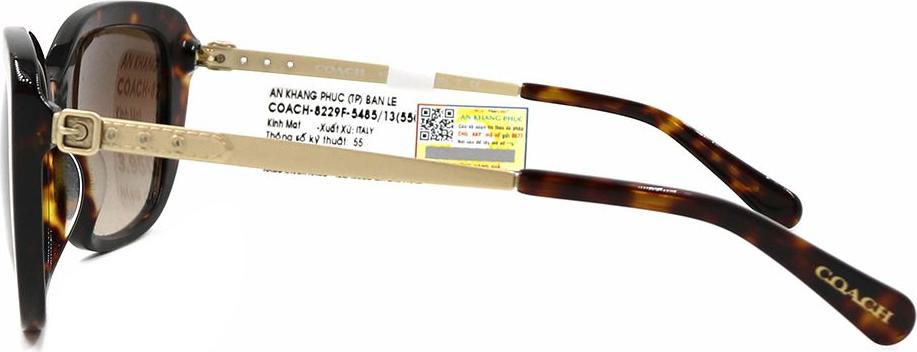 Kính mát chính hãng Coach HC8229F