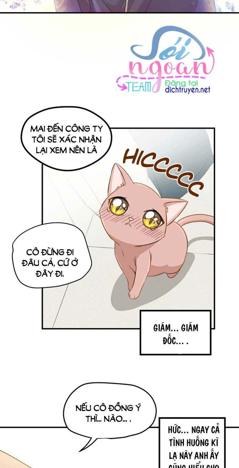 cuộc sống kỳ thú chapter 3 12