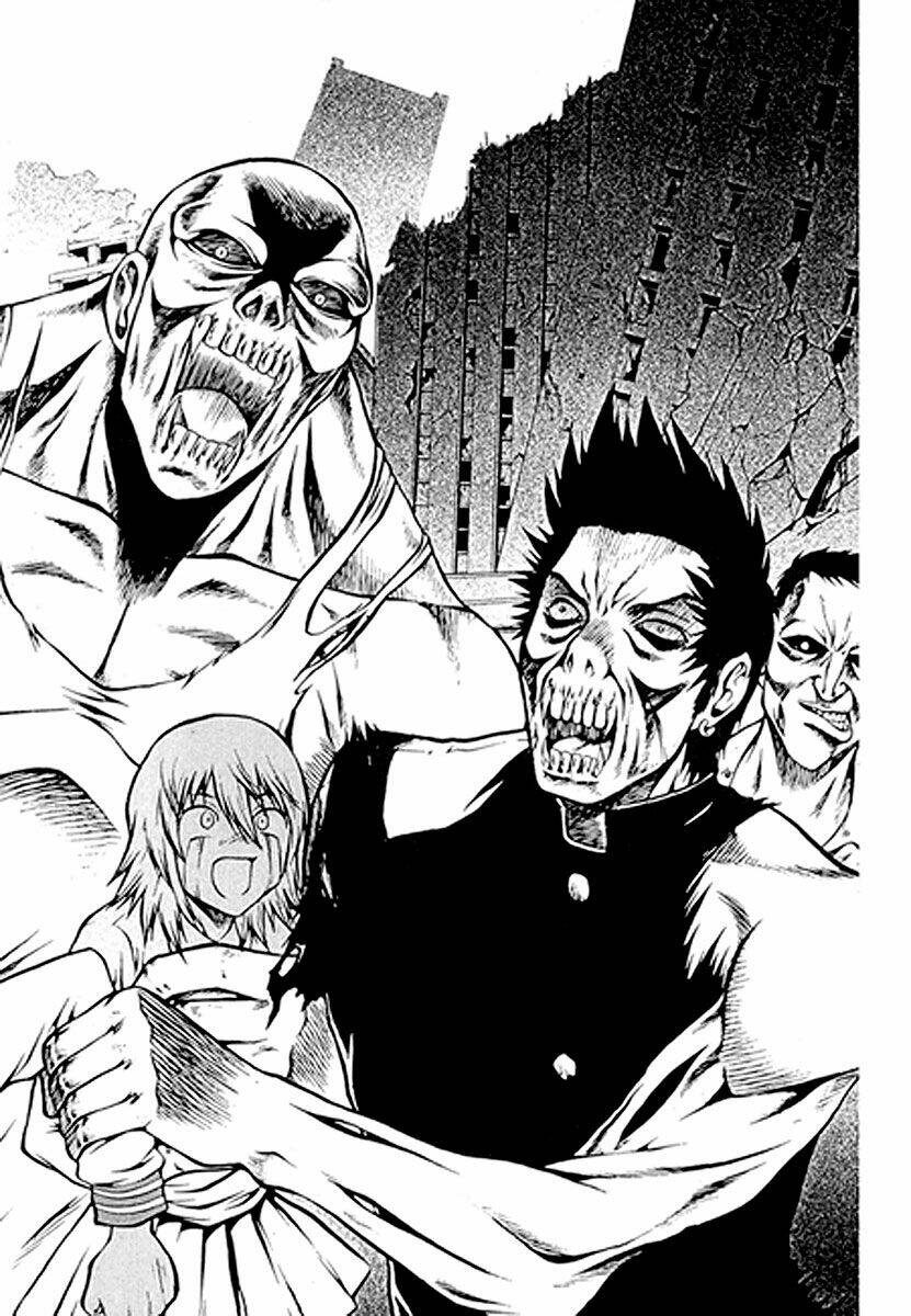 zippy ziggy chapter 36 9