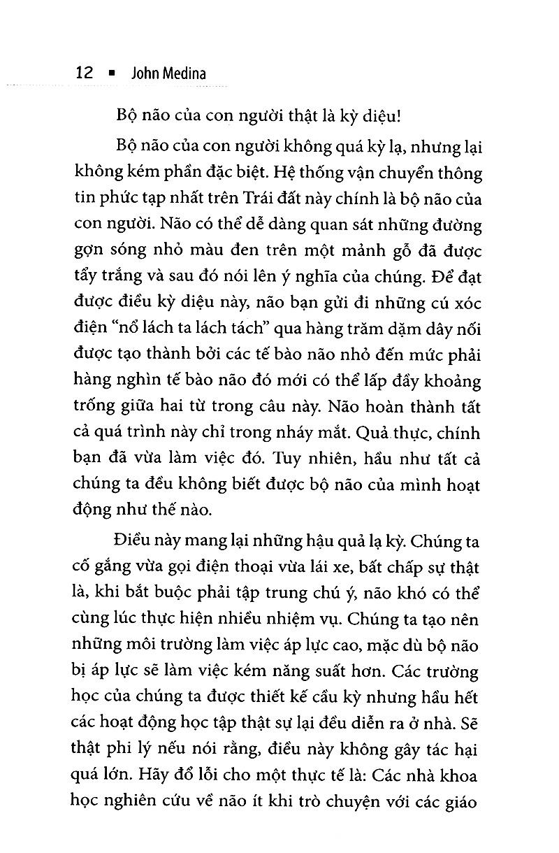 Luật Trí Não (Tái Bản)