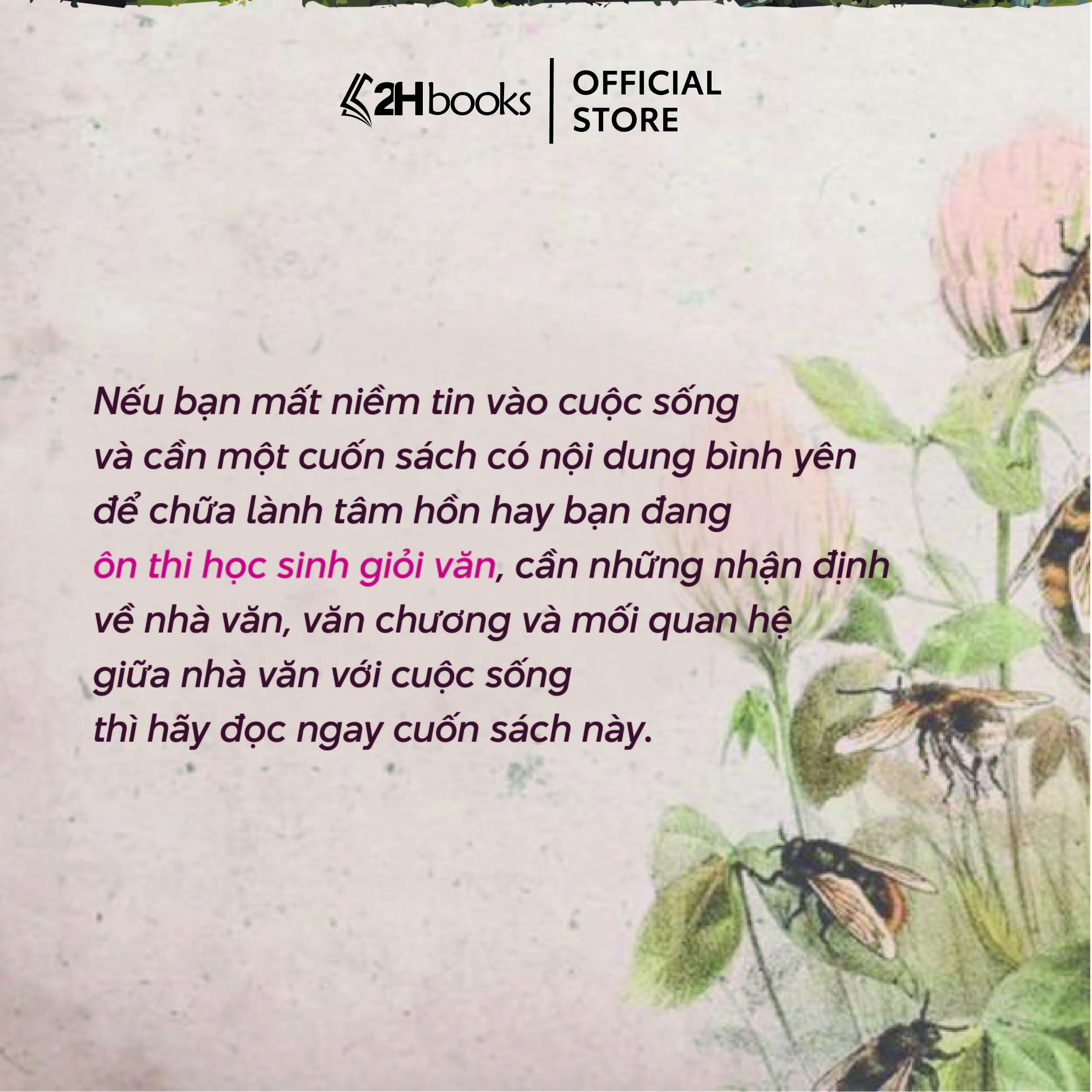 Sách Bông Hồng Vàng và Bình Minh Mưa, tuyển tập nhiều truyện ngắn, bút ký, Tái bản mới nhất 2024, 2HBooks