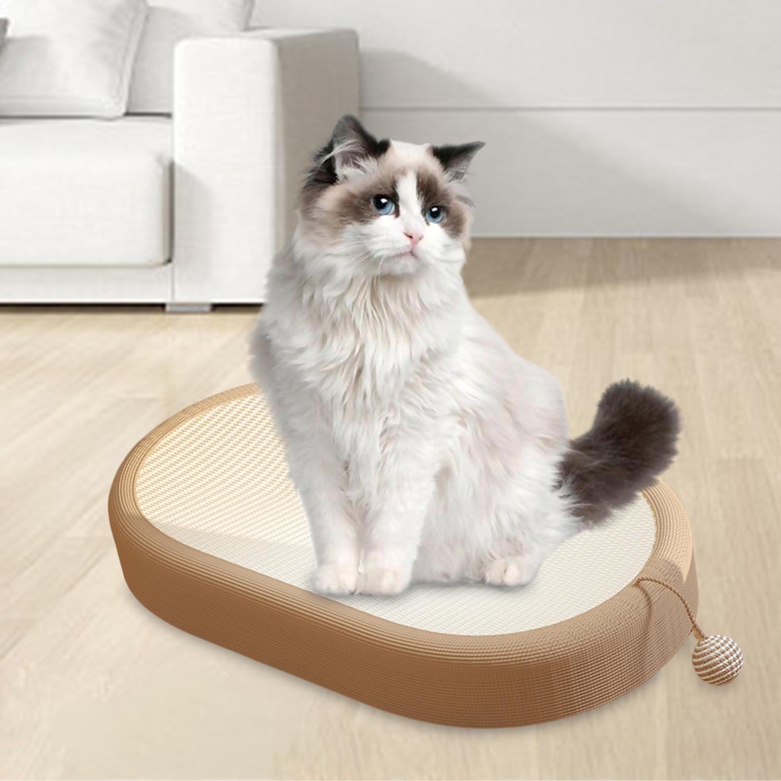 Cat Scratcher Cardboard Play Cat Scratch Pad Bowl for Indoor Training Carpet