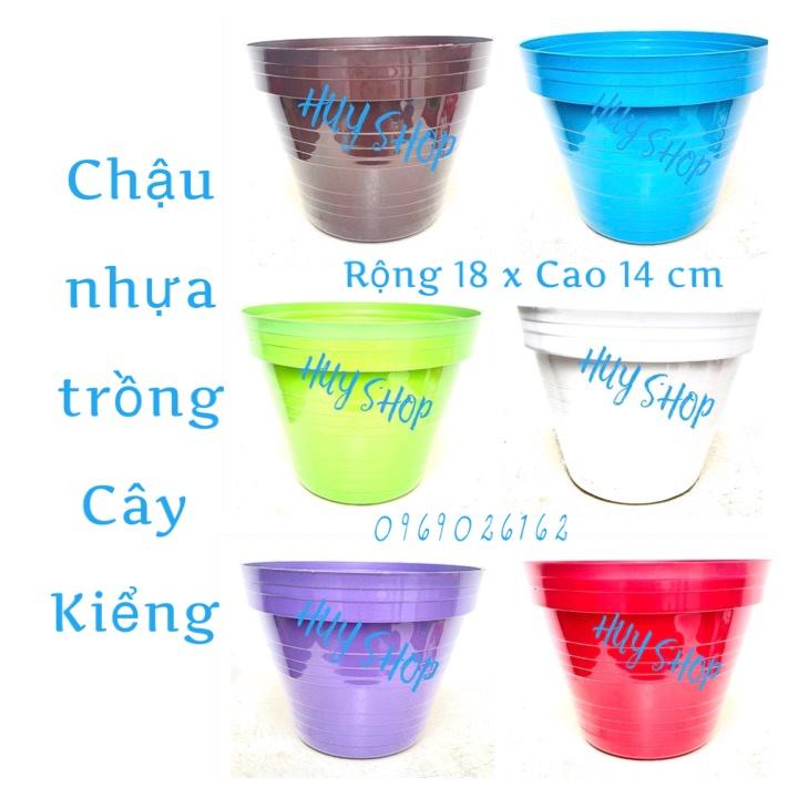 COMBO 5 CÁI CHẬU NHỰA TREO TRỒNG HOA CÓ MÓC KẼM