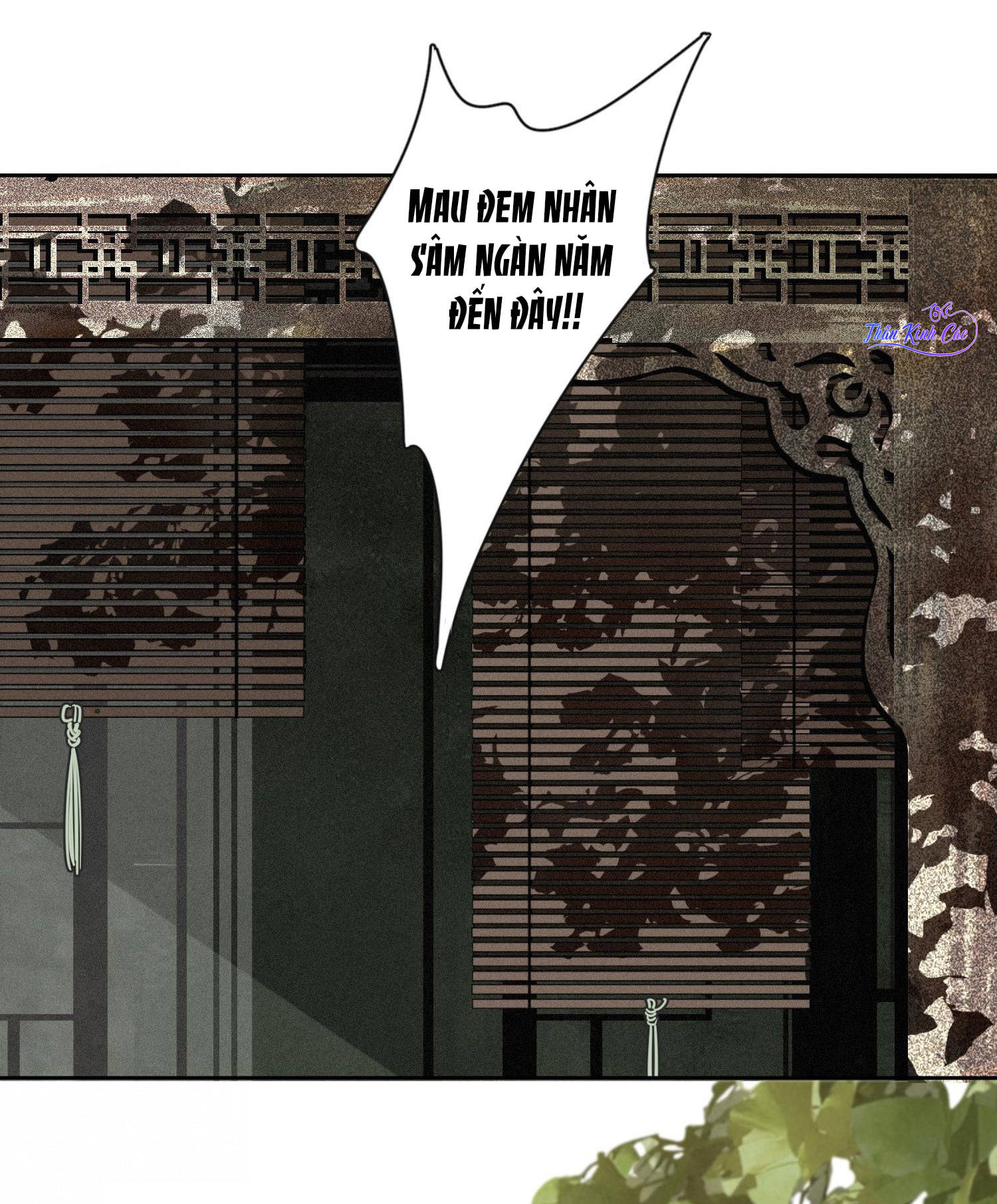 không cẩn thận cứu phải kẻ thù của giang hồ chapter 1 53