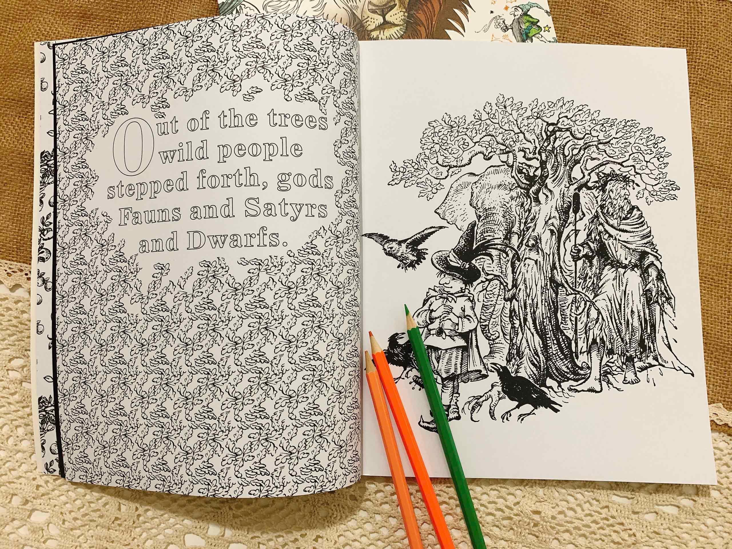 The Chronicles of Narnia Colouring Book