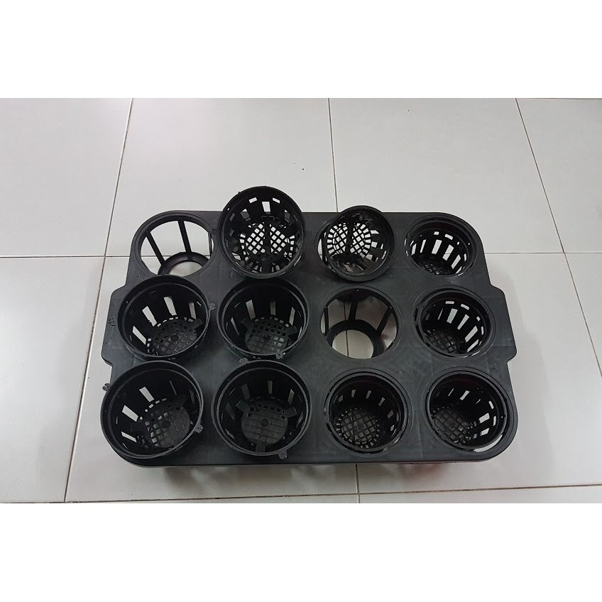 KHAY NHỰA ĐỰNG LAN HỒ ĐIỆP LOẠI 3.5 INCH