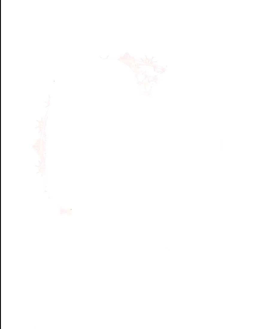 từ ác nữ tôi phải trở thành một người mẹ chapter 13 19