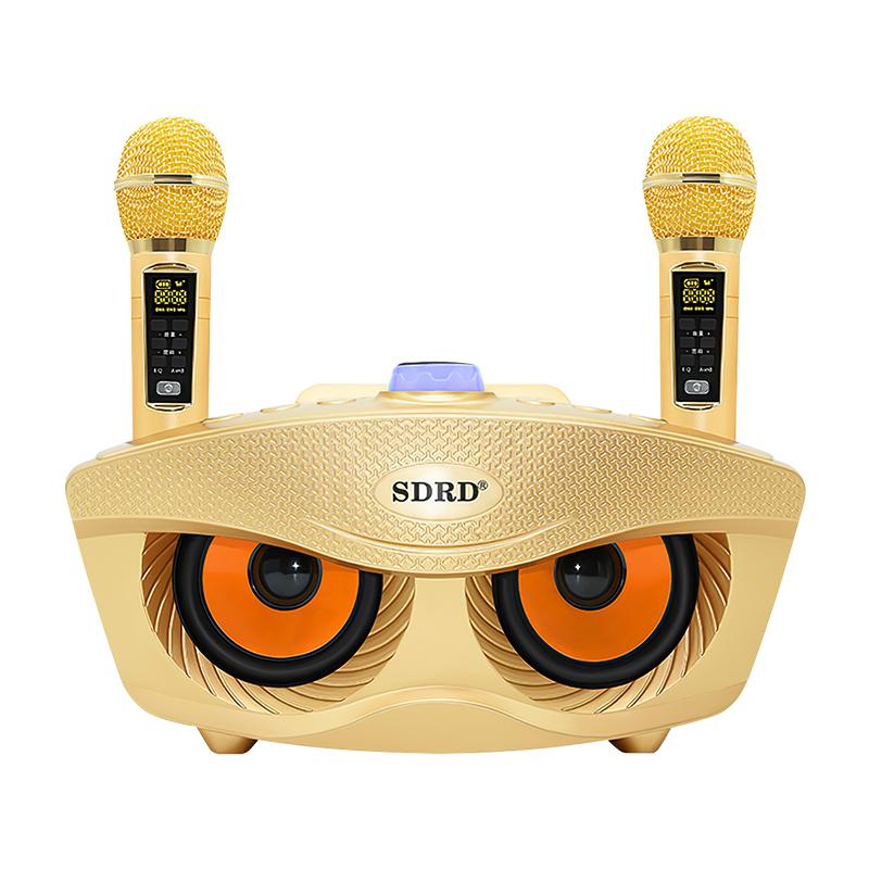 Loa Bluetooth Karaoke SDRD SD 306 Plus Bản Mới Nhất,Kèm 2 Micro Karaoke Không Dây,Chất Lượng âm Thanh Tuyệt Vời