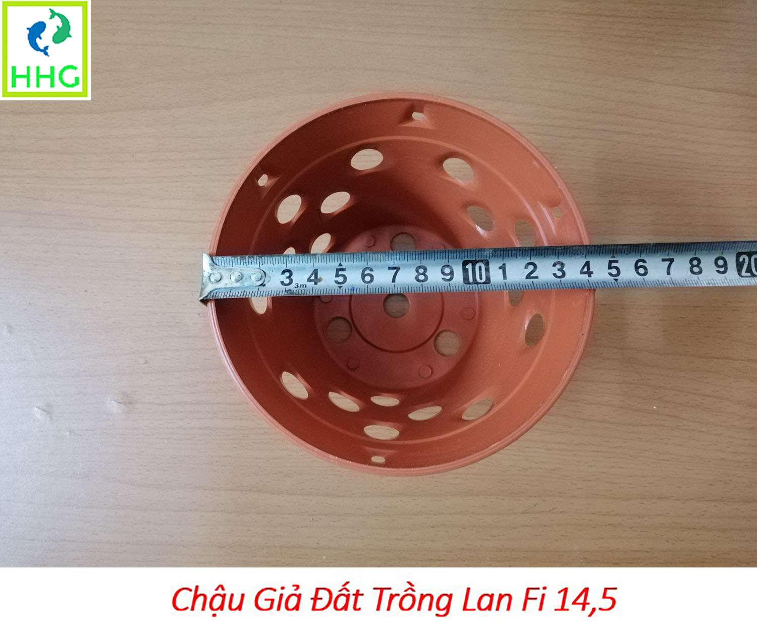 10 chậu giả đất trồng lan Fi 14.5 - đường kính 14.5cm
