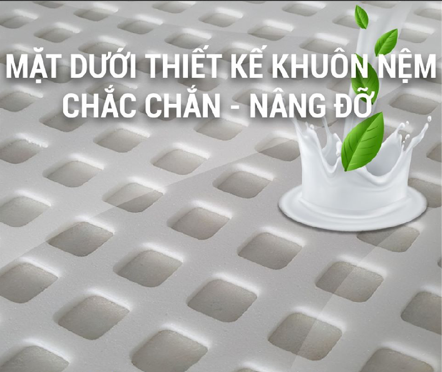 Nệm Cao Su Thiên Nhiên Truyền Thống Evera Kích Thước 2m0x1m6 Độ Dày 10cm