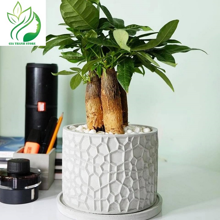 Combo 4 Chậu trồng sen đá , xương rồng, bonsai cây cảnh bằng xi măng, chính hãng Cori , chậu 3D Origami hình trụ tròn kích thước 15x11cm - Cement pots GiaThanh Decor