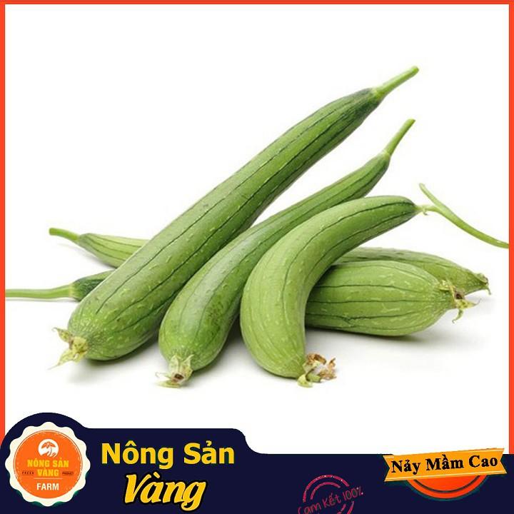 Hạt giống Mướp Hương ( Gói 15 hạt ) - Nông Sản Vàng