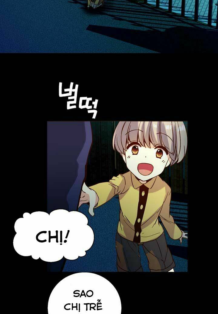 amentia chapter 19 24